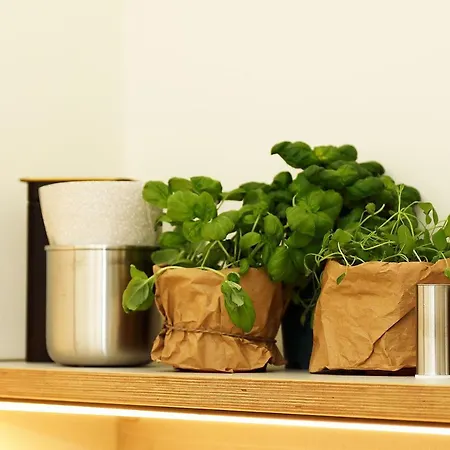Chase Apartments-boutiquehotel Style I